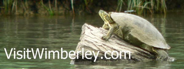 The wonderful wildlife and animals in the Wimberley Valley and Texas Hill Country