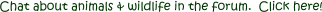 Click for the animal and wildlife discussions.