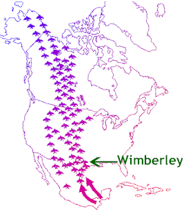 Central Flyway Map, adapted from Texas Parks and Wildlife Map