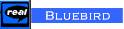 Click to play!