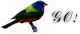 More about Buntings!