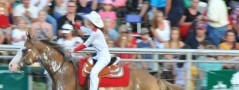 Click for photos from the 2008 VFW Pro Rodeo