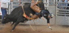 Click to see photos from the 2009 VFW Pro Rodeo