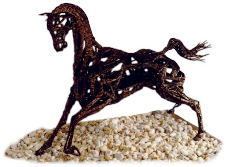 Amazing horse!