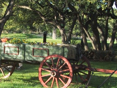 Wagon of flowers - planter, Wimberley style