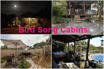 Bird Song Cabins