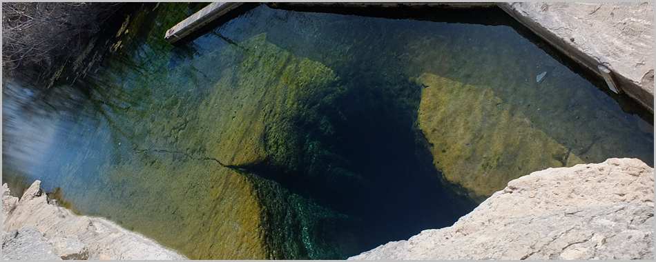 The Nature Center at JWNA