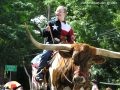 The 4th of July Parade in Wimberley, Texas - 2004