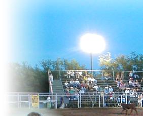 Welcome to the Rodeo!