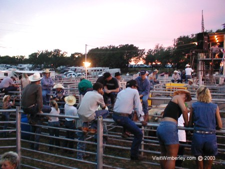 Waiting at the Wimberley Rodeo chutes