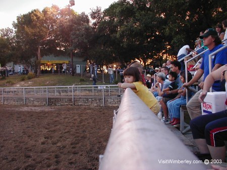 Leaning on the fence...