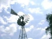 Old to Blanco Windmill
